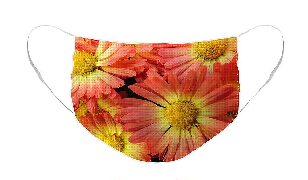 Flower Face Mask featuring the photograph Floral Frenzy 2 by Robert Mitchell