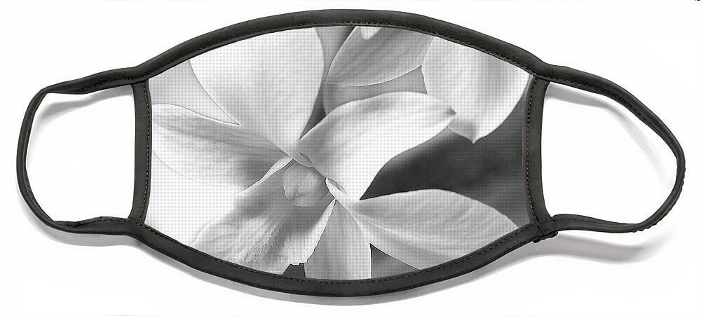 White Orchid Face Mask featuring the photograph White Orchid by Mike McGlothlen