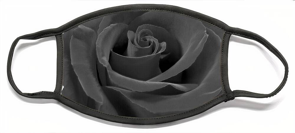 Rose Face Mask featuring the photograph Dark Rose by Mike McGlothlen