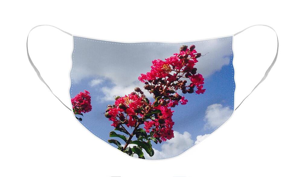 Clouds Face Mask featuring the photograph Flower clouds by WaLdEmAr BoRrErO
