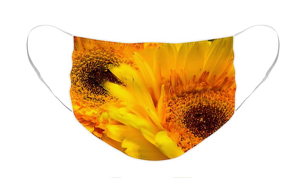 Daisy Face Mask featuring the photograph Flower Eyes by Wild Fotos