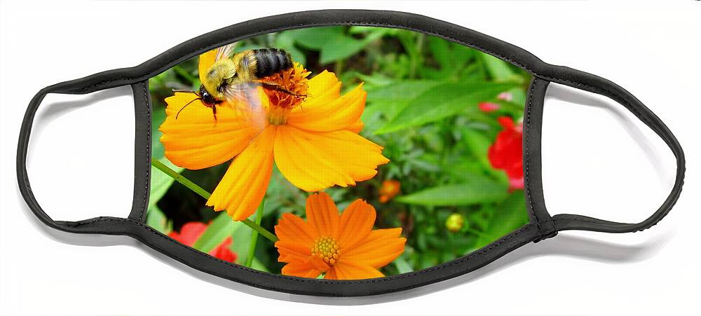 Bee Face Mask featuring the photograph Flower Garden Bee by Cynthia Clark