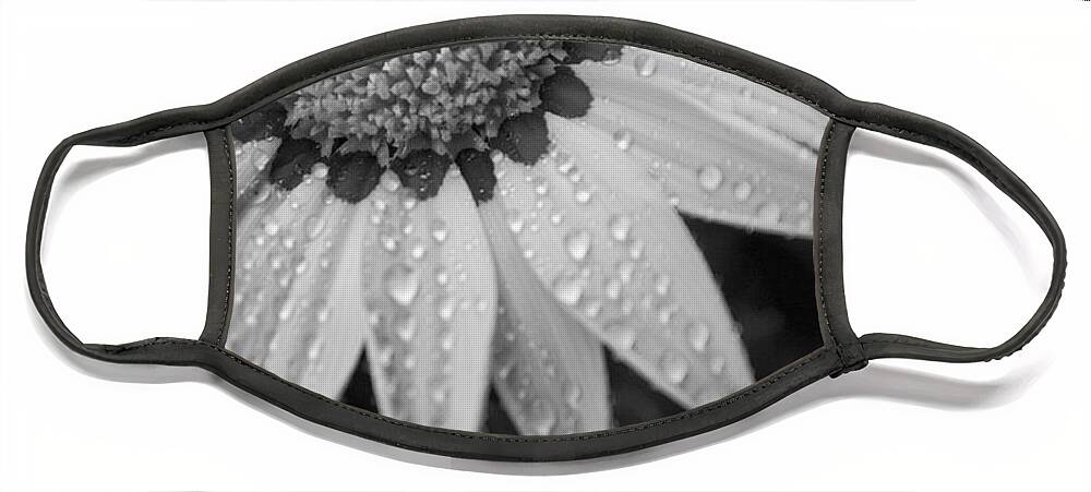 Flower Face Mask featuring the photograph Flower Water Droplets by Ron White