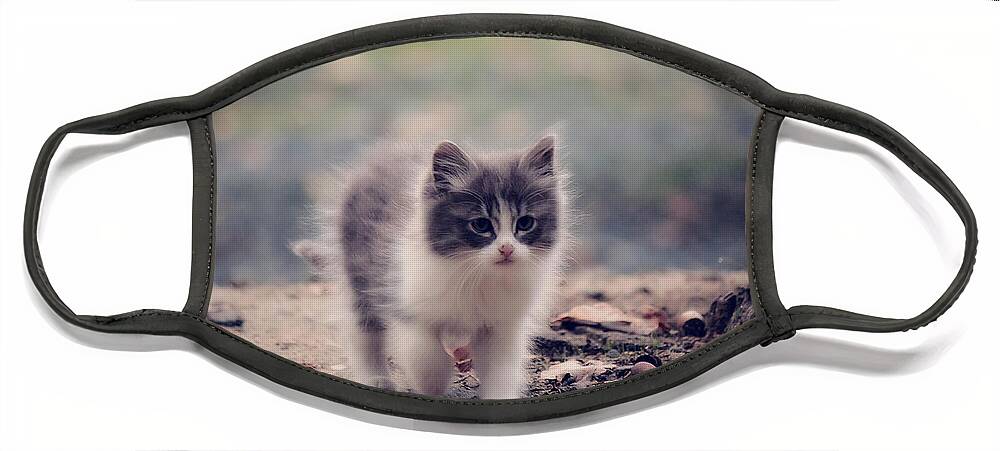 Kitten Face Mask featuring the photograph Fluffy Cuteness by Melanie Lankford Photography