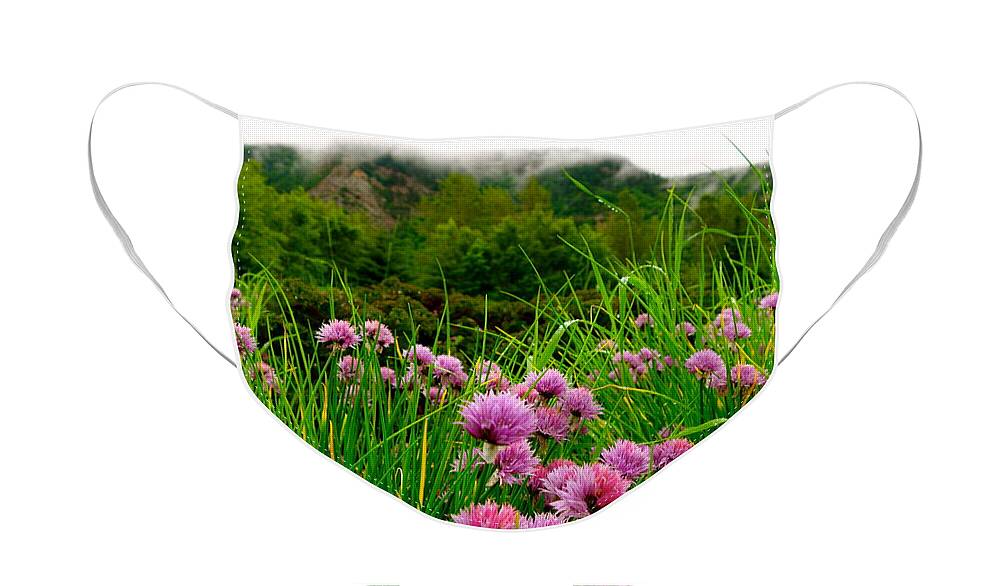 Flower Face Mask featuring the photograph Foggy Morning by Jacqueline Athmann