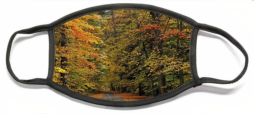 Fall Foliage Face Mask featuring the photograph Foliage Road by Liz Mackney