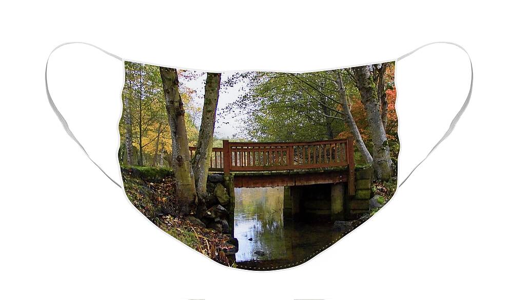 Park Face Mask featuring the photograph Foot Bridge by Ron Roberts