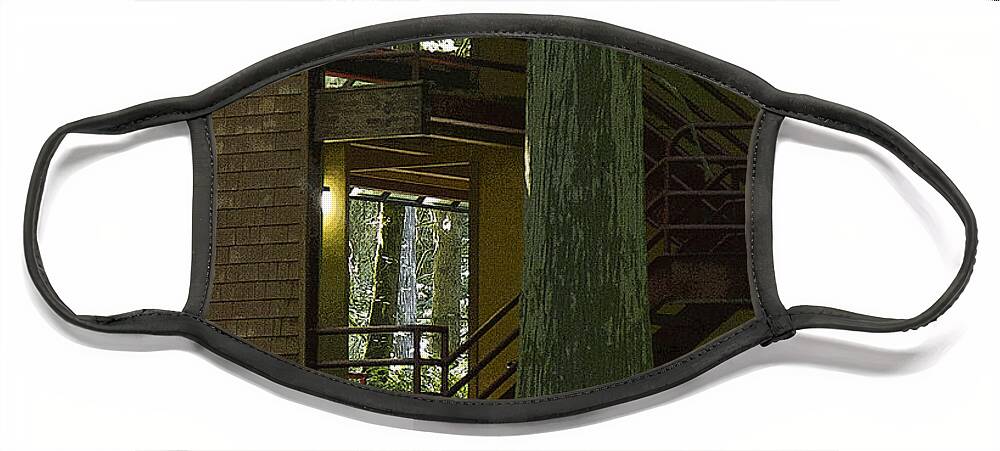 Stairway Face Mask featuring the photograph Forest Stairway by Jeanette French