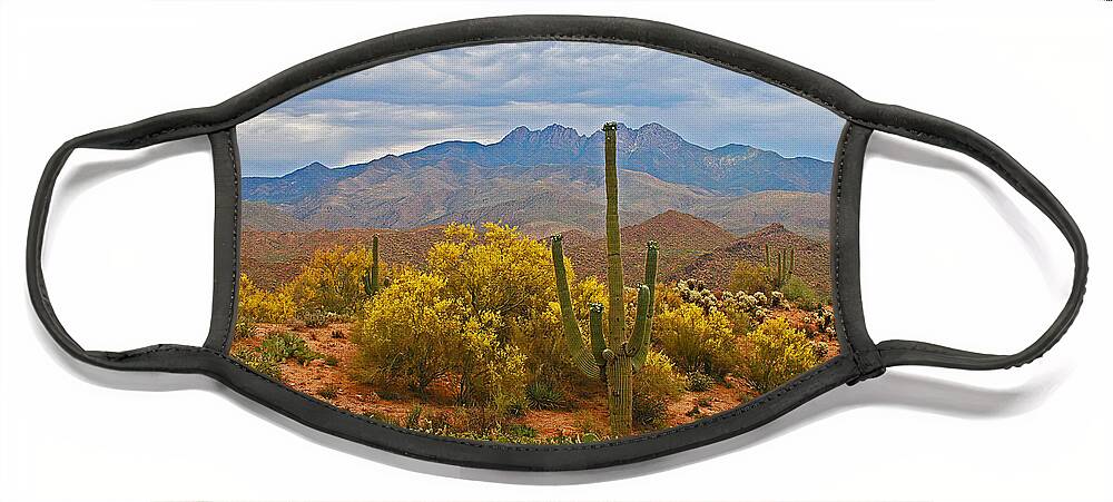 Four Peaks Face Mask featuring the photograph Four Peaks Palo Verde And Saguaros In The Spring by Tom Janca