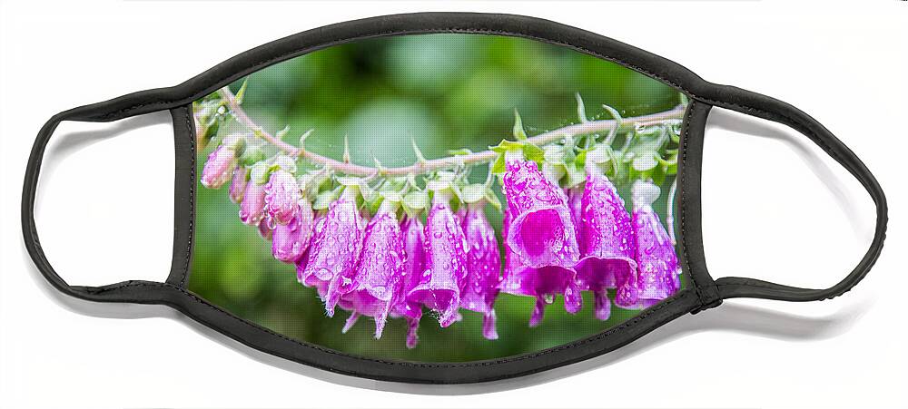 Alternative Therapy Face Mask featuring the photograph Foxglove Flower by Philippe Garo