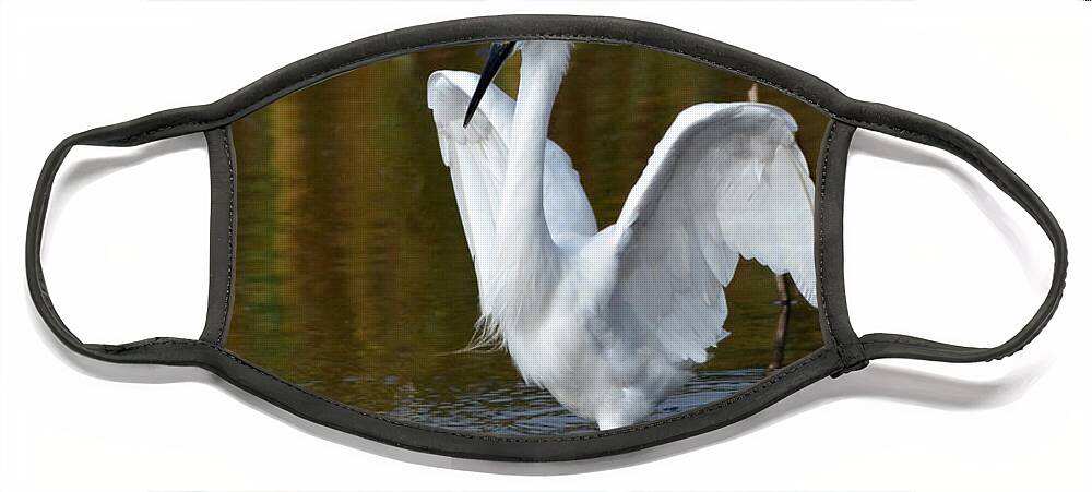 Egrets Face Mask featuring the photograph Frazzled by Kathy Baccari