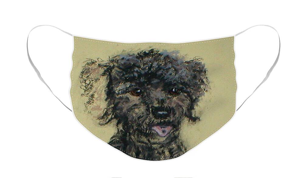 Toy Poodle Face Mask featuring the drawing Fred by Cori Solomon