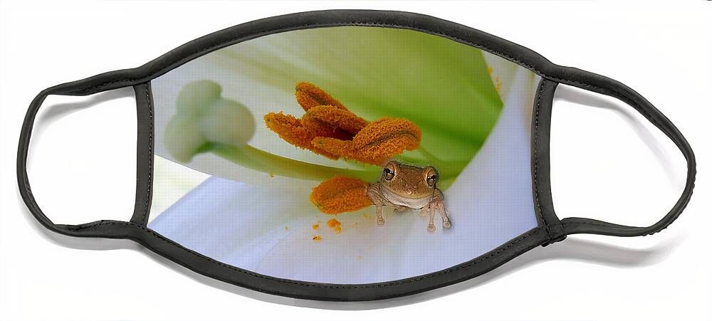 Frog Face Mask featuring the photograph Frog in the Lily by Judy Hall-Folde