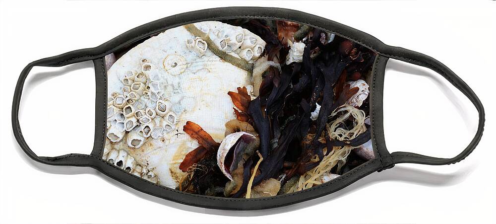 Seashell Face Mask featuring the photograph From the Ocean by Andrea Anderegg