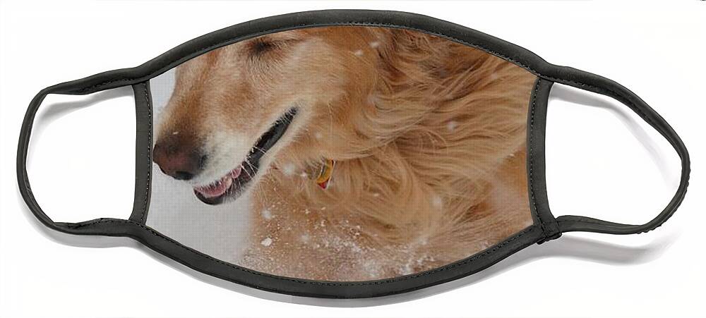 Dogs Face Mask featuring the photograph Fun in the Snow by Veronica Batterson