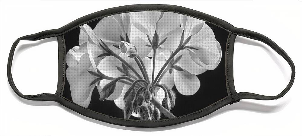 Geranium Face Mask featuring the photograph Geranium Flower In Progress Black and White by James BO Insogna