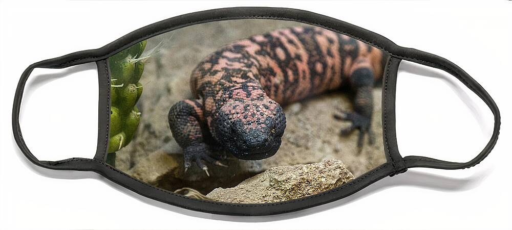 Nature Face Mask featuring the photograph Gila Monster by Mark Newman