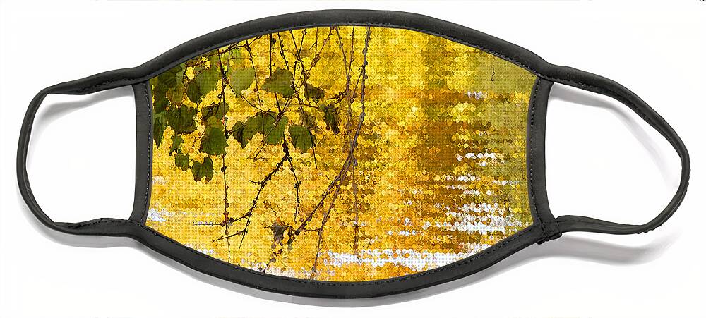 Reflections Face Mask featuring the photograph Golden Reflections by Mariarosa Rockefeller