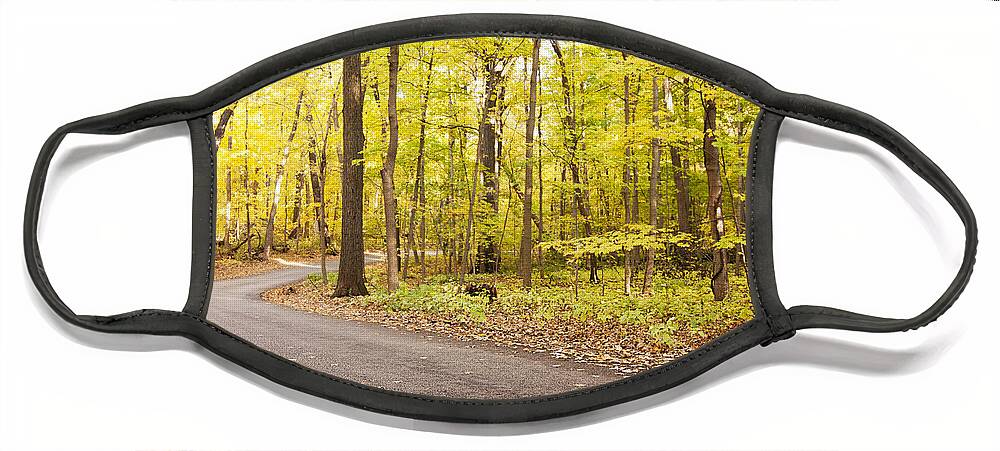 Autumn Trees Face Mask featuring the photograph Good Day for a Drive by Patty Colabuono