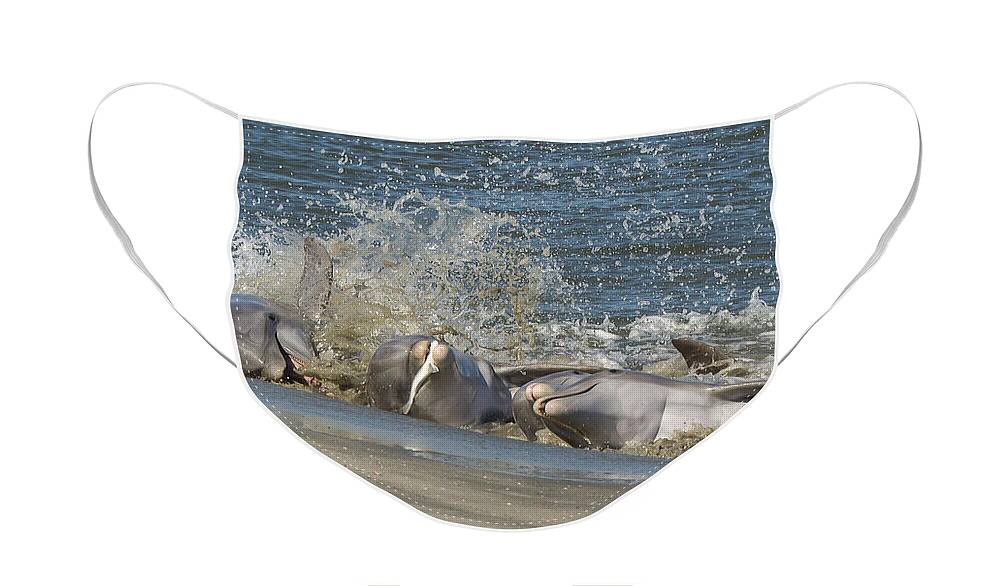 Ocean Face Mask featuring the photograph Gotcha by Patricia Schaefer
