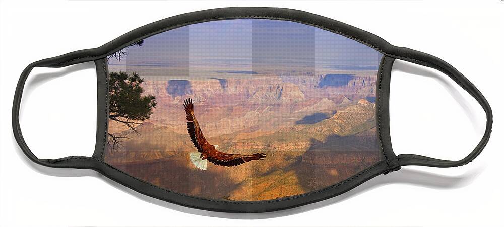 Fly Face Mask featuring the digital art Grand Canyon Eagle by Bruce Rolff