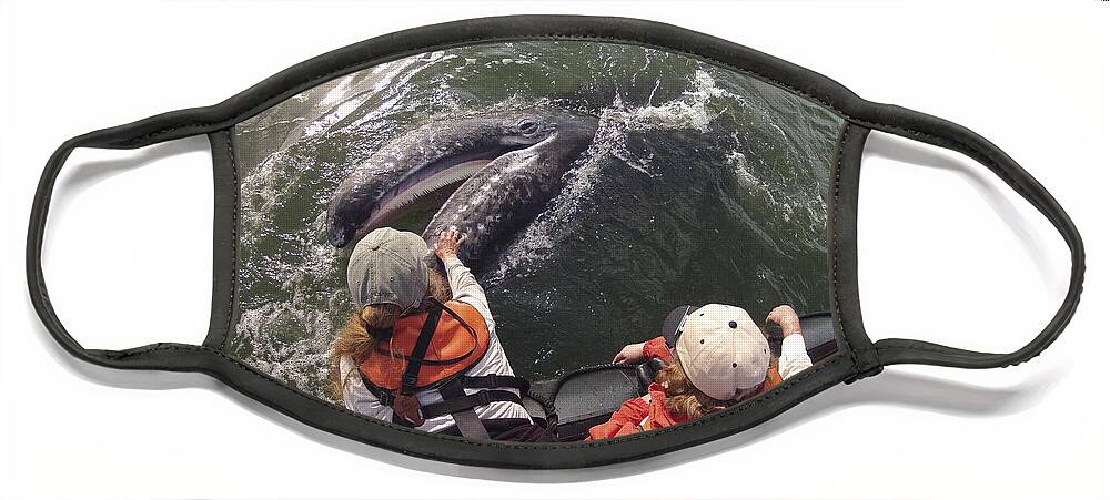 Feb0514 Face Mask featuring the photograph Gray Whale Calf And Tourists Baja by Flip Nicklin