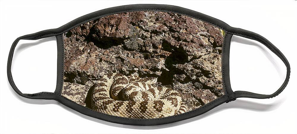 Animal Face Mask featuring the photograph Great Basin Rattlesnake by Karl H. Switak