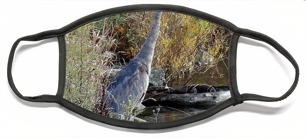 Great Blue Heron Face Mask featuring the photograph Great Blue Heron - Juvenile by Laurel Best