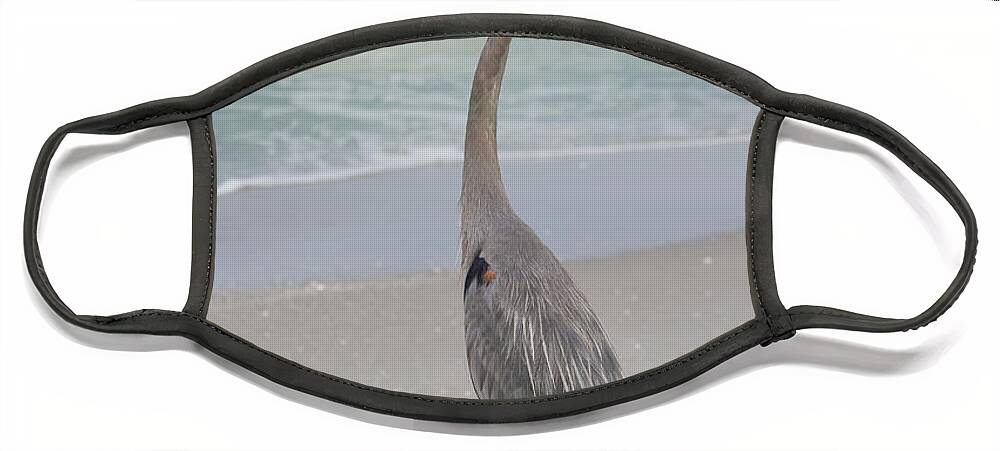 Great Blue Heron Face Mask featuring the photograph Great Blue Heron by Kim Hojnacki