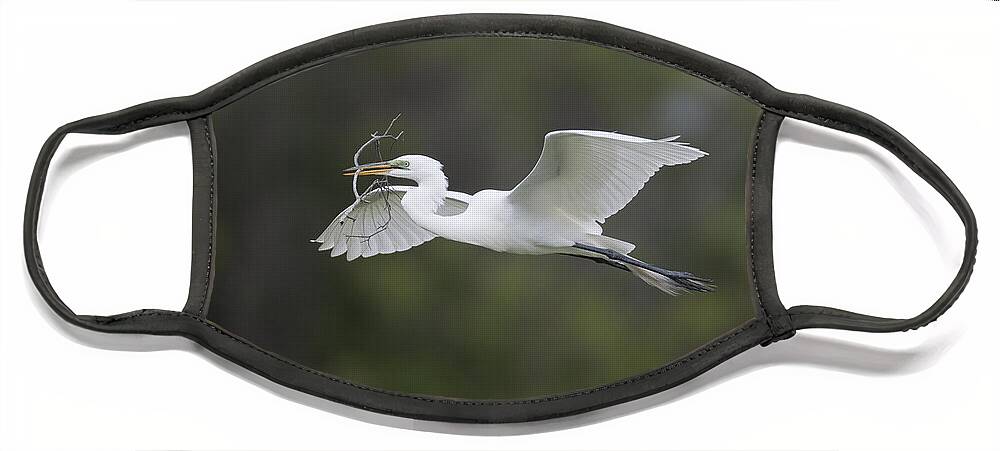 Feb0514 Face Mask featuring the photograph Great Egret Carrying Nesting Material by Tom Vezo