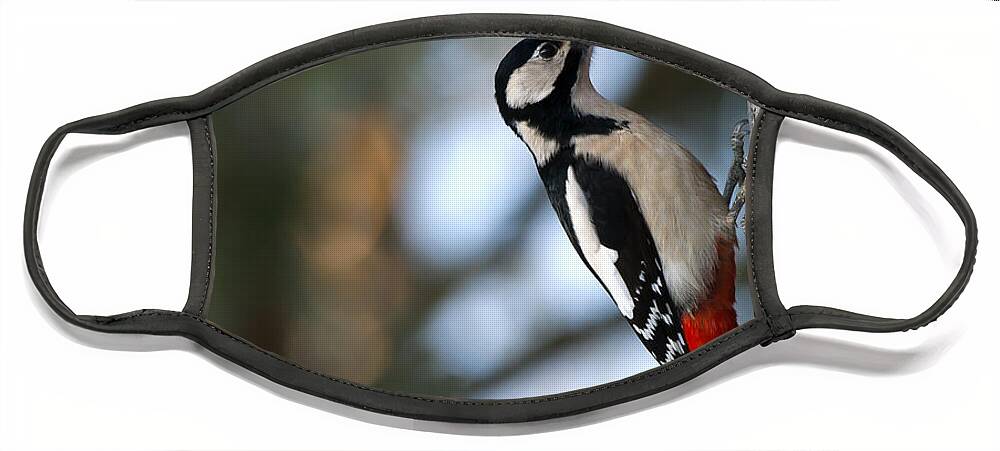 Great Spotted Woodpecker Face Mask featuring the photograph Great Spotted Woodpecker by Torbjorn Swenelius