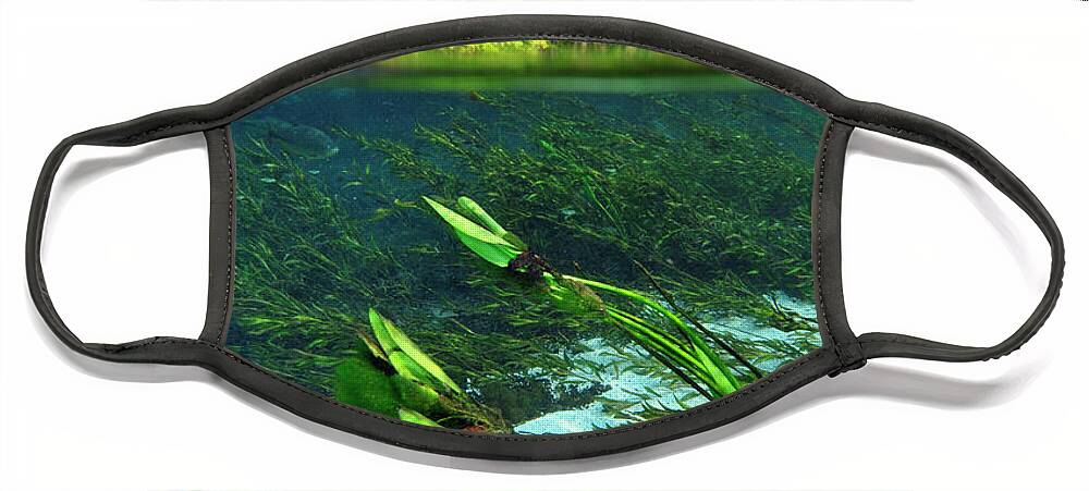 Underwater Face Mask featuring the photograph Green flow by Artesub