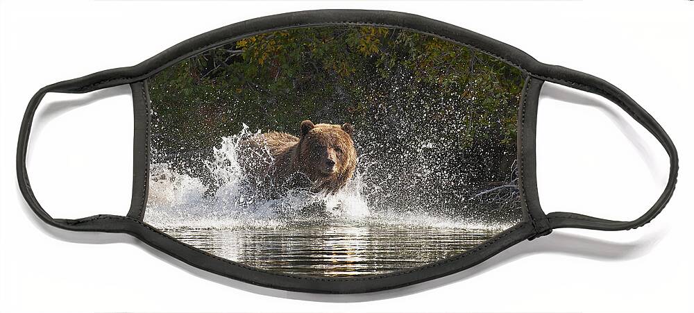 Animal Face Mask featuring the photograph Grizzly Attack by Bill Cubitt