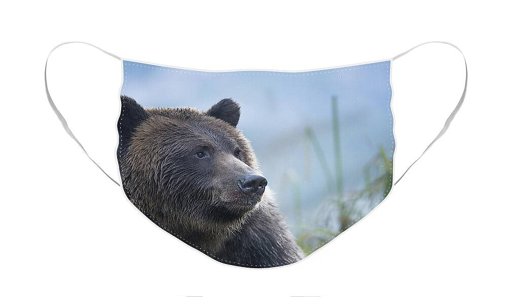 Great Bear Rainforest Face Masks