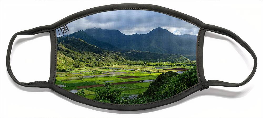 Hanalei Valley Face Mask featuring the photograph Hanalei Valley by Michael Ash