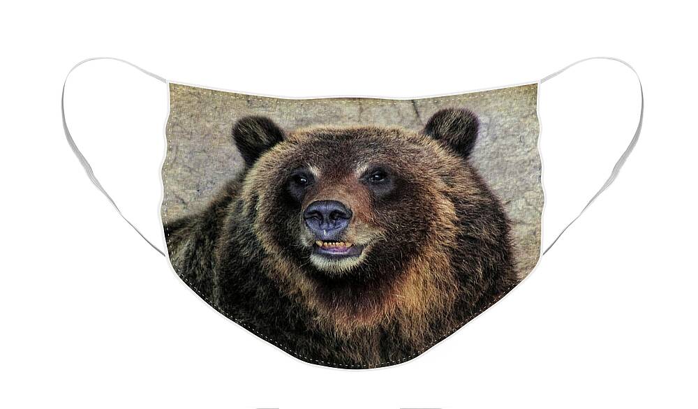 Grizzly Bears Face Mask featuring the photograph Happy Grizzly Bear by Elaine Malott