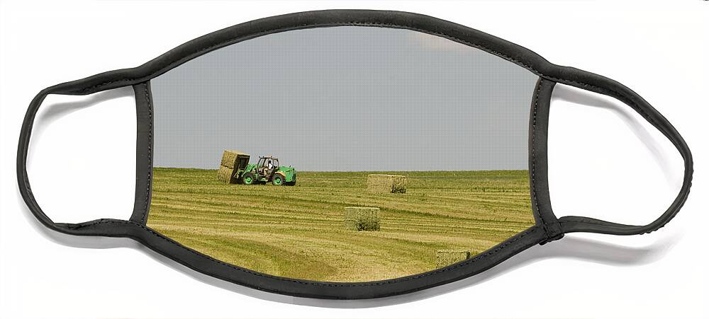 Alfalfa Field Face Mask featuring the photograph Harvesting Bales Of Alfalfa Hay by William H. Mullins
