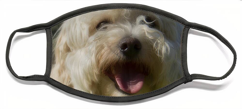 Dog Face Mask featuring the photograph Havachon by Weir Here And There