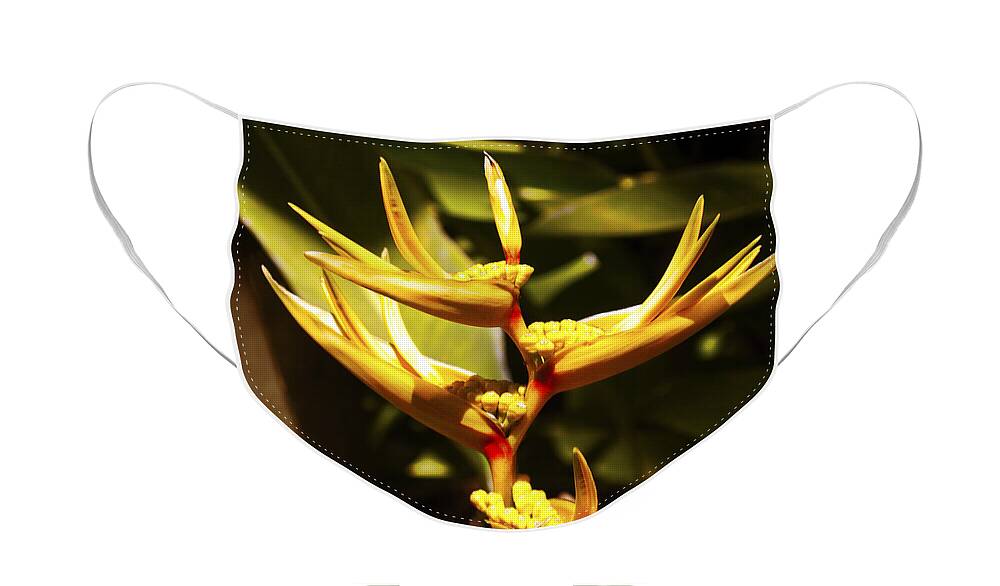 Flower Photography Face Mask featuring the photograph Heliconia by Patricia Griffin Brett