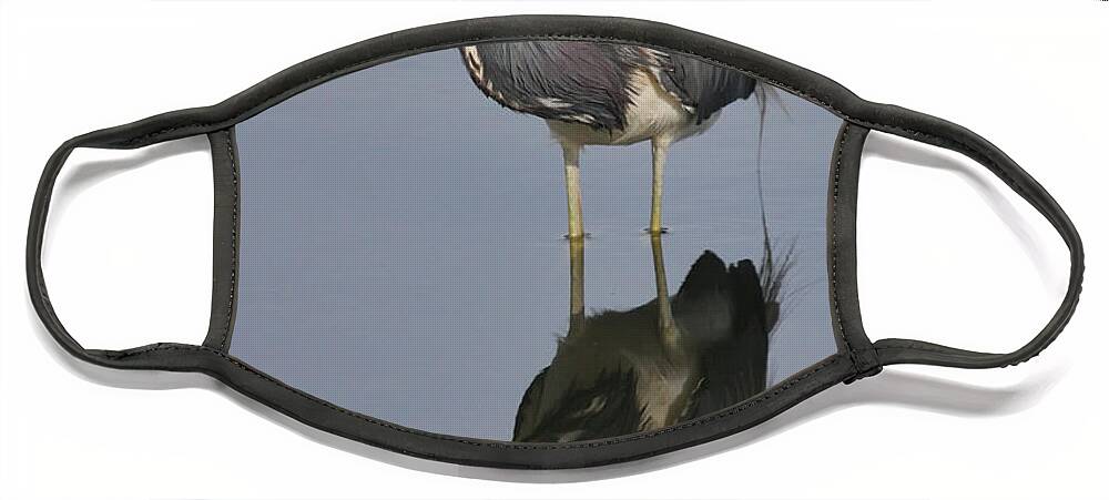 Heron Face Mask featuring the photograph Heron Reflections by Jayne Carney