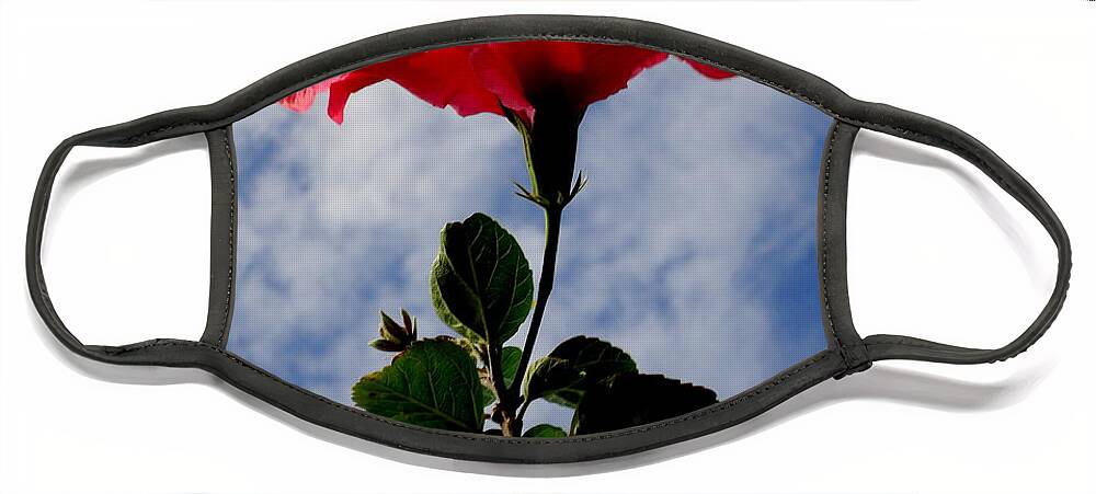Hibiscus Face Mask featuring the photograph Hibiscus in the Sky by Peter Mooyman
