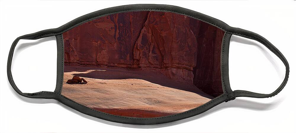 Arches National Park Print Face Mask featuring the photograph Hold On by Jim Garrison