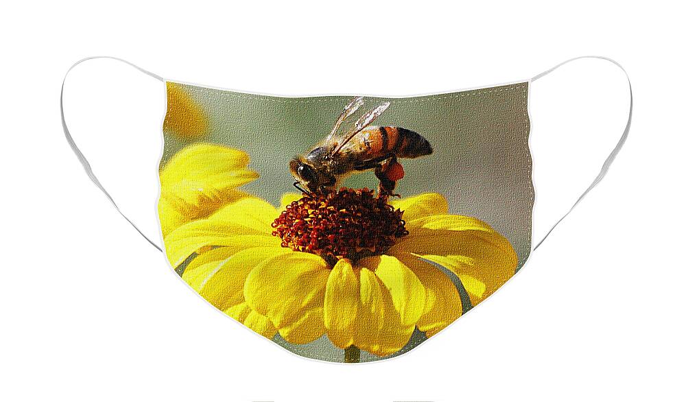Honey Bee And Brittle Bush Flower Face Mask featuring the photograph Honey Bee And Brittle Bush Flower by Tom Janca