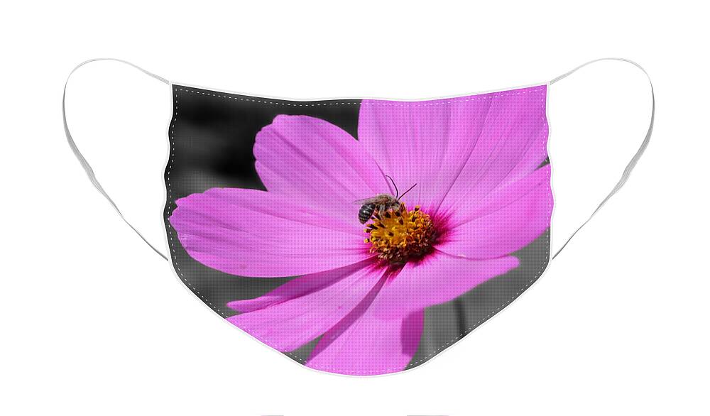 Honey Bee Face Mask featuring the photograph Honey Bee On Pink Cosmos Flower by Smilin Eyes Treasures