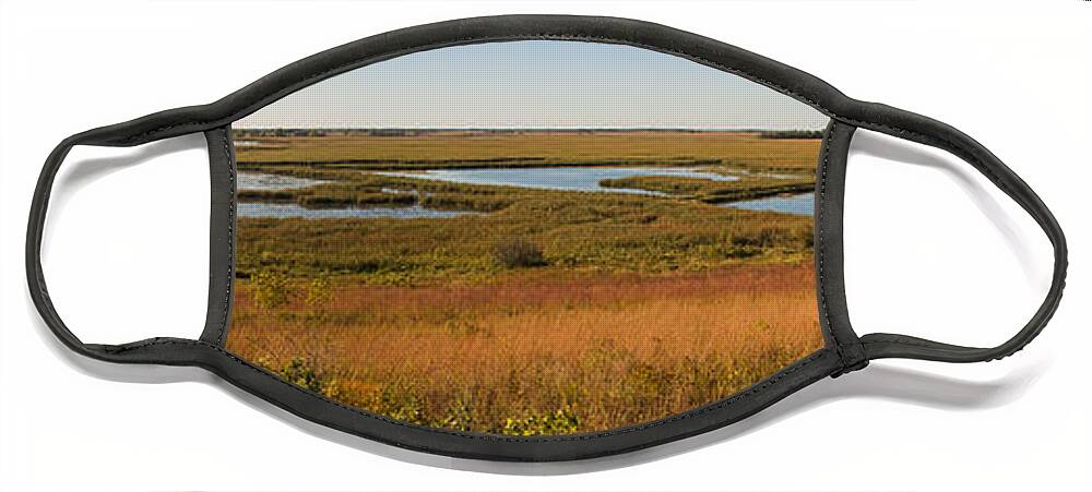 Birds Face Mask featuring the photograph Horicon Marsh by Steven Ralser