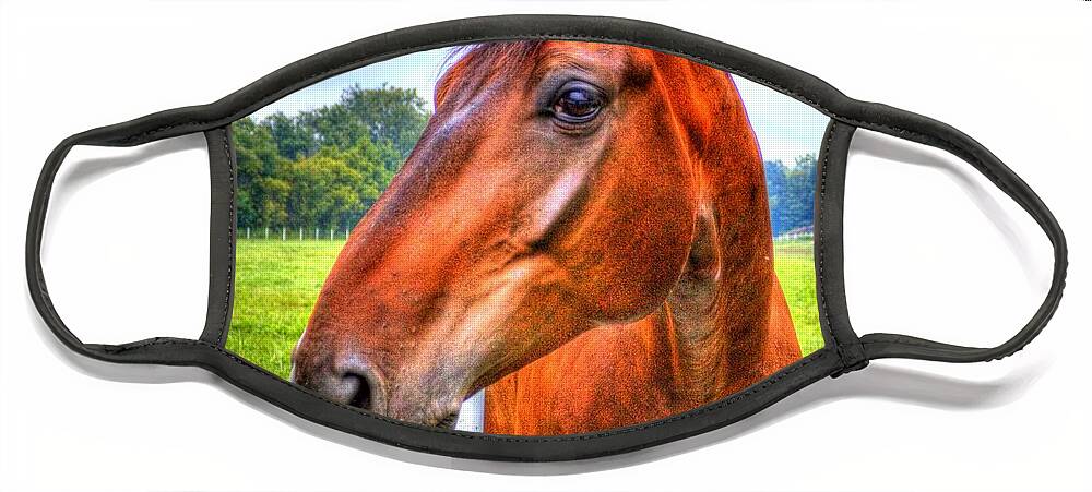 Horse Face Mask featuring the photograph Horse Closeup by Jonny D