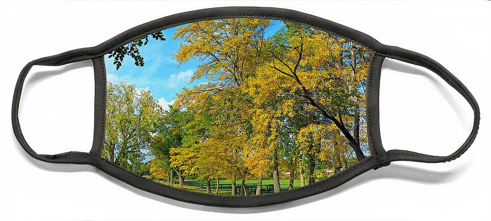 Fall Face Mask featuring the photograph Horse Country by Rodney Campbell