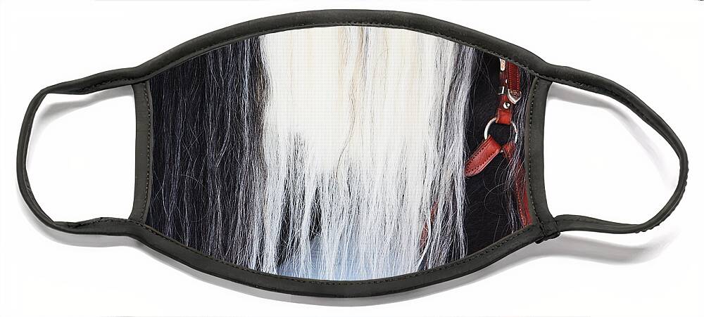Horse Face Mask featuring the photograph Horse's Mane by Sue Harper