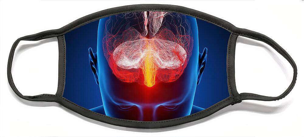 Brain Face Mask featuring the photograph Human brain by Johan Swanepoel