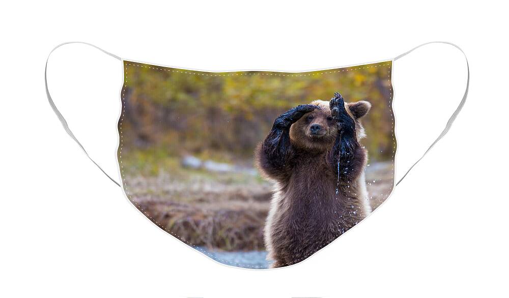 Bear Face Mask featuring the photograph I Can't Bear To Look by Kevin Dietrich